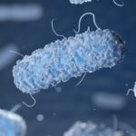 3 effektive råd til at undgå Legionella infektion i din ejendom